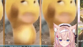中国猫猫看《我是奶龙の小曲》沉默一分钟