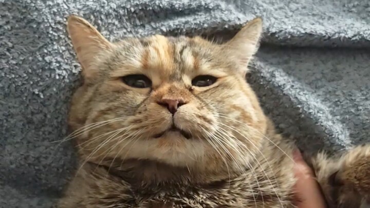 Wake up, it's time to sleep.