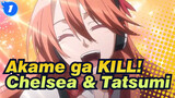 Akame ga KILL! | [Chelsea & Tatsumi] Cinta Yang Tak Bisa Diceritakan Sampai Mati -----_1