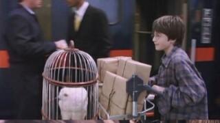 【HP】“他的一生都以救世主为名”