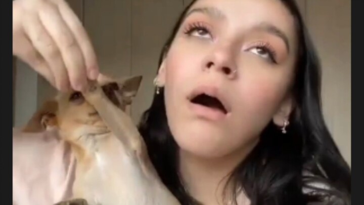 The Succubus of Chihuahua…