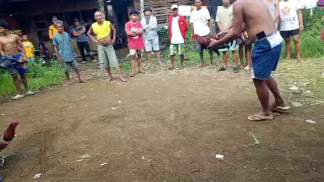 gi solong pag ka dason semana