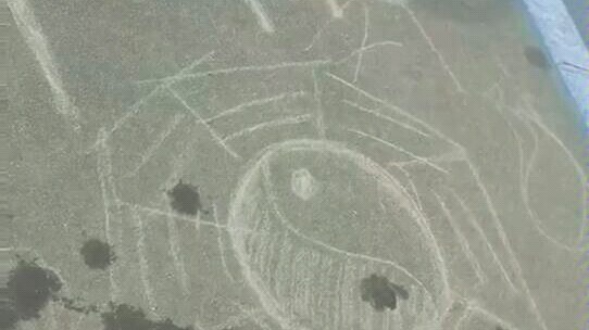 Latihan militer, cowok berdoa hujan haha, aku tertawa sampai mati
