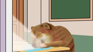 The current situation of contemporary young people