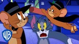 Tom & Jerry | Best of Jerry Van Mousling | Cartoon Compilation | WB Kids