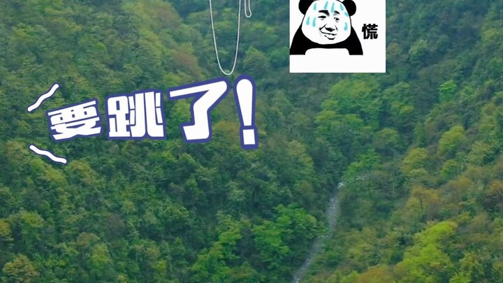 The little animals in the mountain ravine must have been quite frightened.