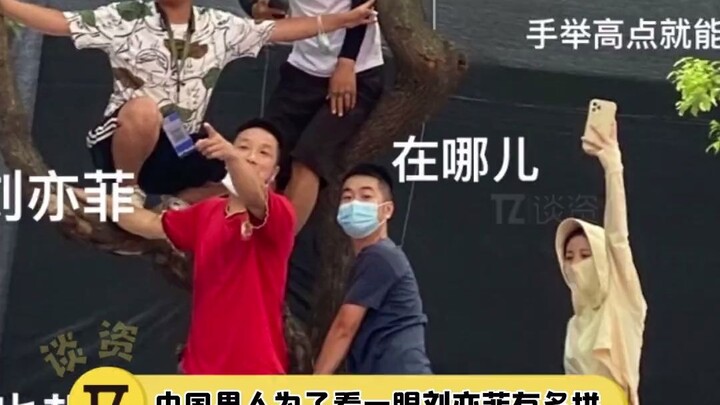 How far would male fans go just to catch a glimpse of Liu Yifei? I was shocked by the last guy’s mov
