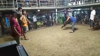 tapang ng nag paris dalawa tare kalaban win parin Tayo.