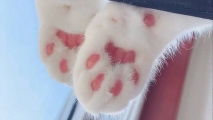 إنه متعاون جدًا، سأذوب من الطَّرافة!