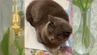 สัตว์ตลก_cut 98