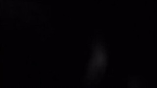 The cat's fairy tale