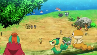 [Pokémon] Tất cả các thành viên ở sân sau của Damu đã cùng nhau tập luyện cùng đội du hành để giúp c