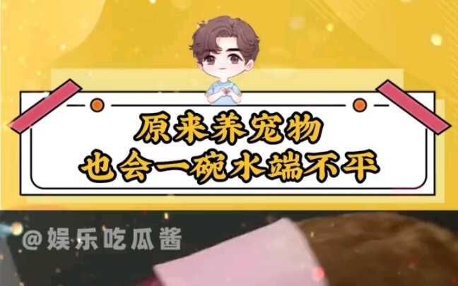 So it turns out even pet owners can’t treat all their pets equally!