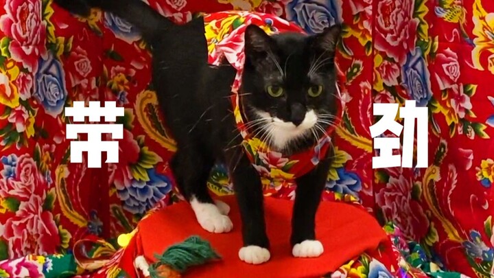 Một sân khấu nhỏ! Ơ ơ! Bàn chân nhỏ xoa xoa nào!