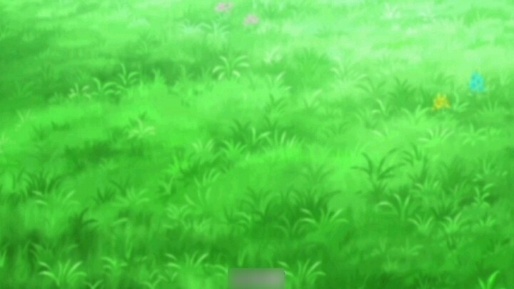 The few dark histories of the Wise Frog