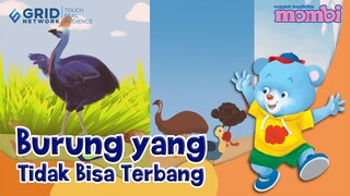 Belajar dan Mengenal Burung yang Tidak Bisa Terbang