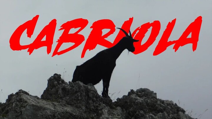 CABRA CABRIOLA - A LENDA MAIS PERTUBADORA DO FOLCLORE BRASILEIRO!
