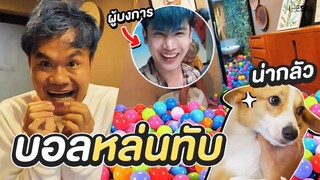 แกล้งหมา เซอร์ไพรส์ลูกบอลท่วมบ้าน!!! (บี้ตามสั่ง EP.4)