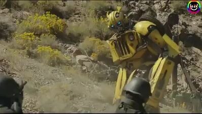 bumblebee