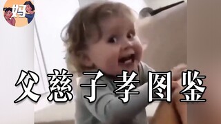 【野生人类图鉴】野王父亲【妈见打】