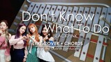 Don't Know What To Do - BLACKPINK - Lyre Cover