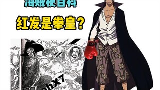 【海贼梗百科】拳皇红发是什么梗？论鹰红之争