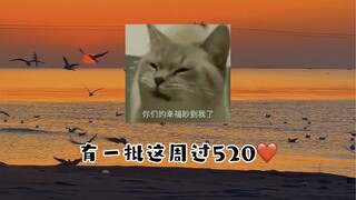 "We're All Young People, So Why Is There Such a Big Gap?"