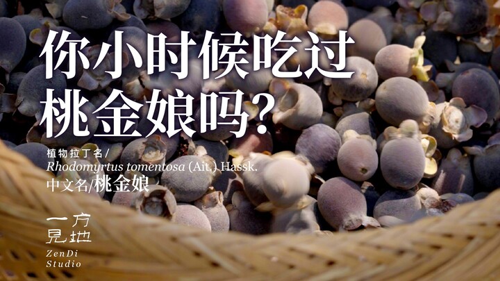 ความงดงามของโลกนี้ไม่อาจเทียบได้กับรสชาติหวานอมเปรี้ยวจากทุ่งเขาในฤดูใบไม้ร่วง คุณเคยลองลูกพีชเมอร์เ