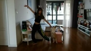 تشو شوي يي تطور رقصة سيمابيان المحرجة مع كلبها الأليف في ثنائي خيالي