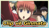 Clip về Ginmata