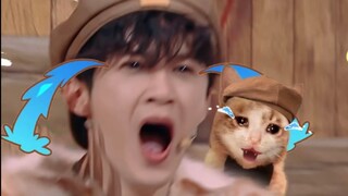hi6 still loves the big brother. After all, if the mouse in Peng Peng's secret room met Tan Jianci, 