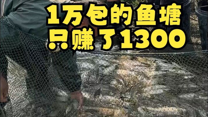 ลงทุน 10,000 ปิดเหมาบ่อปลาของคุณตา แต่สุดท้ายกลับได้กำไรแค่ 1,300?