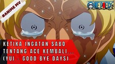 ONE PIECE - KETIKA INGATAN SABO TENTANG ACE KEMBALI (YUI - GOOD BYE DAYS)  #ONE PIECE[AMV]