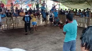 prh win at san vicente palawan