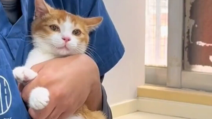 Lời nhắc chính thức: “Mời dành cho những người dễ thương và hài hước”