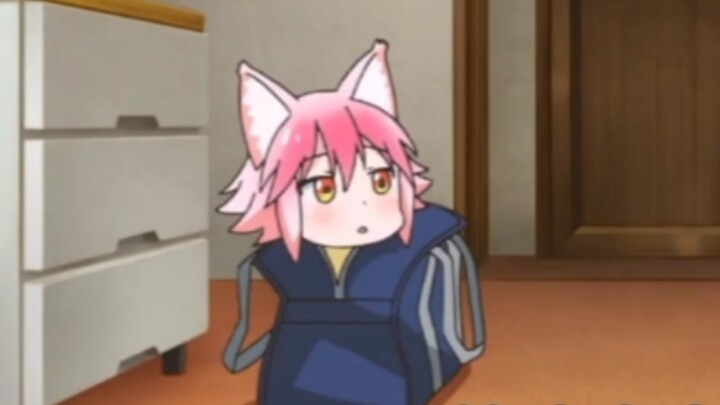 Kỳ này thần quá rồi