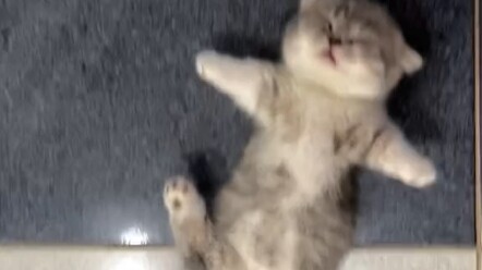 جميل ورقيق!