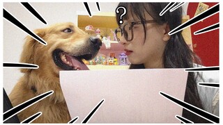 【BOOM】แม้กระทั่งสุนัขยังอ่านคอมเมนต์ได้ดีกว่าคุณ!!
