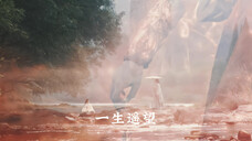 赵丽颖×林更新|与凤行×玄鸟|宿命感直接拉满,敬请期待东方神话故事