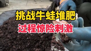 Trải nghiệm ủ phân đầy thử thách và thú vị nhất từ trước đến nay!