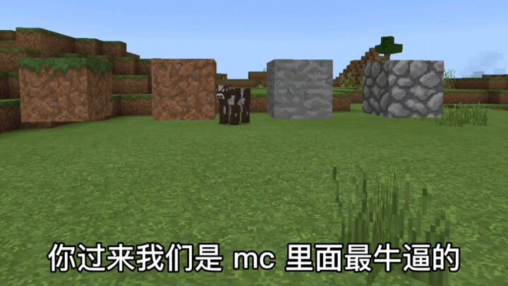 Ox vs. Horse Domination Contest