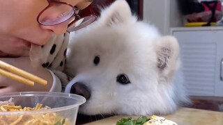 《开饭了，但不是我》