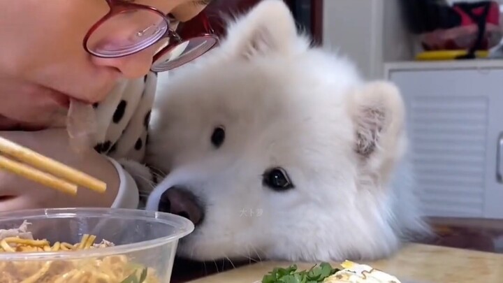 "Đã đến giờ ăn rồi, nhưng không phải tôi"