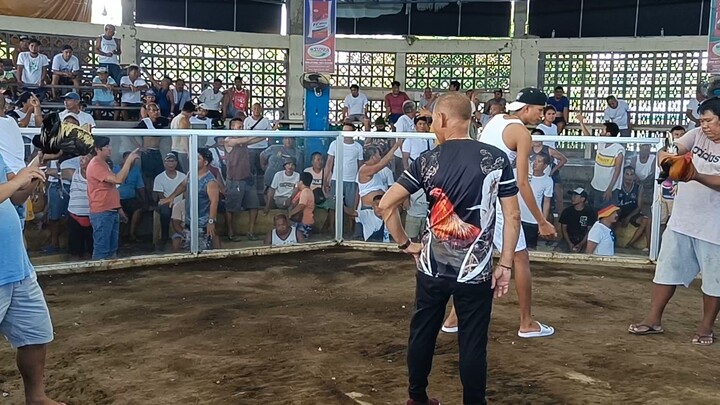 Lucio gf melsims dark grey