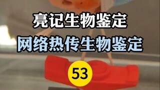 Internet hot biological identification 53
