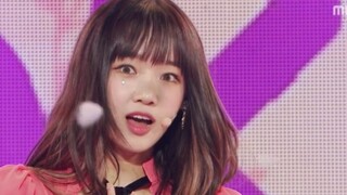 [Weki Meki] Siesta LIVE