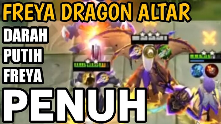 GAK BISA MATI !! FREYA B3 DRAGON ALTAR MENGGILA | 6 DA 3 NV 3 WM | BEST SYNERGY MAGIC CHESS