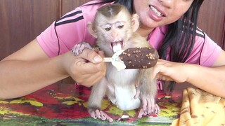 So Yummy Yummy!! Little Boy Maki Very Happy To Eating Chocolate Ice Cream For Snacks
