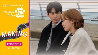 Episode 11 Viu Special | A Good Day to be a Dog | Cha Eun Woo, Park Gyu Young [ENG SUB]