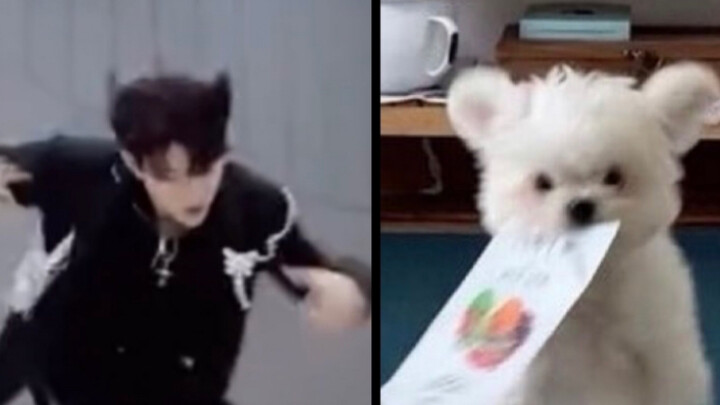 【คอมเมนต์จากต่างประเทศ】ท้า SMOKE: ไม่ใช่เรื่องยากสำหรับเขาเลย